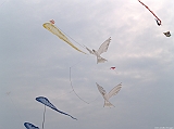 Cervia 2011-134